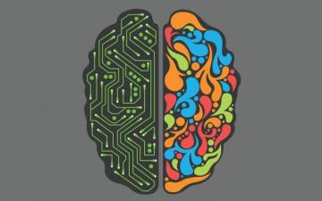 Brain Wallpaper Top Background