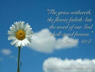 Sky With Flowers Desktop Background Verses From The Bible Picture