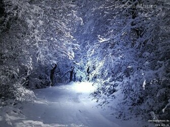 Winter Scenery