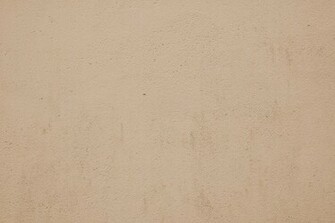 Neutral Background Texture Image