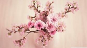 Vase Wallpaper HD Topwallpaper