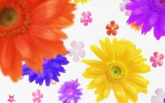 HD Colorful Flowers Desktop Wallpaper Wide