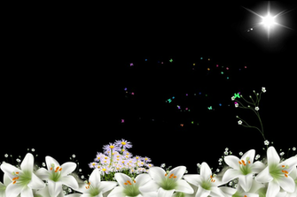 Gratis Para Fotos Wallpaper Floral Rosa Y Scrap Png Decorar