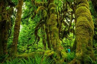 Wallpaper Monday Oregon Expat