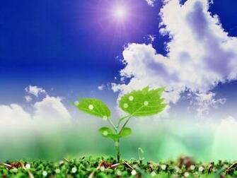 Shining Photography Wallpaper