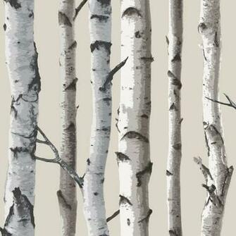 Trees 10m Forest Wallpaper Cream Silver Black
