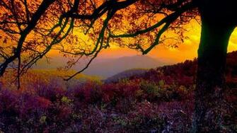 Best Travelling Wallpaper Shenandoah National Park