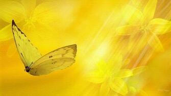 Yellow Quenalbertini Floral Wallpaper On HDw Eweb4