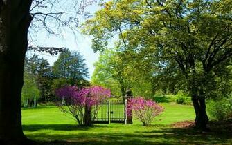 Dream Spring Cool Day Wallpaper HD