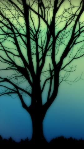 Silhouettes Tree iPhone Wallpaper
