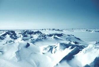 Zing Cold HD Wallpaper Nature