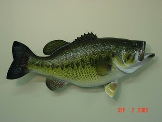 Largemouth Bass Wallpaper