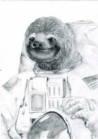 Sloth Astronaut By Velikisob