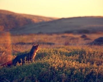 Wallpaper Sunlight Landscape Sunset Hill Nature Photography