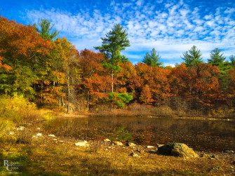 New England Autumn Wallpaper