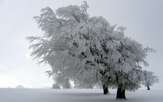 Blizzard Aftermath Wallpaper Myspace Background