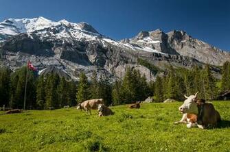 World Beautifull Places Switzerland Mountains Wallpaper