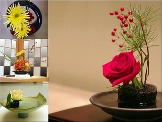 Galer A Ikebana Wallpaper