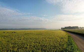 Name High Definition Wallpaper Of Field Picture Road Landscape