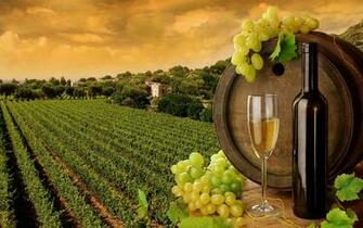 Wine Wallpaper HD