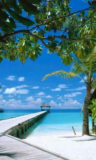 Plus Wallpaper Android Mobile Screensavers