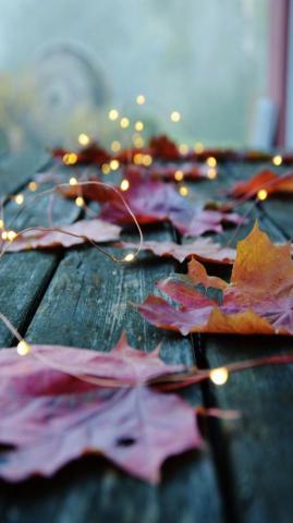 Fall Phone Wallpaper On