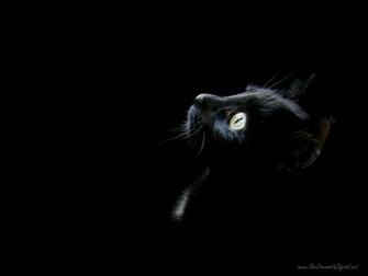 Black Wallpaper HD Photos Background