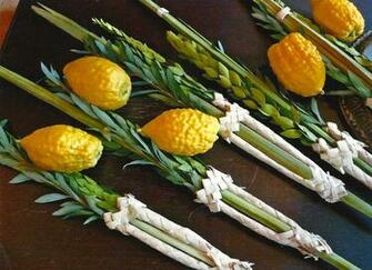 Sukkot Everyday Jewish Living Ou Life