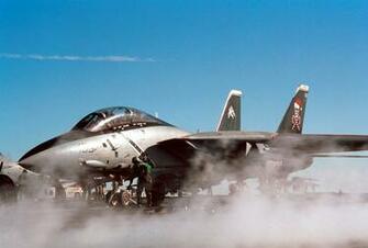 Tomcat Wallpaper