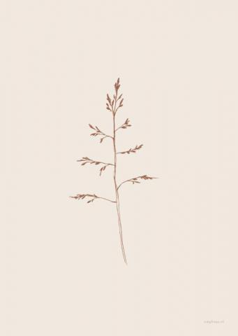 Plants Grass Cute Simple Wallpaper Minimal Drawings