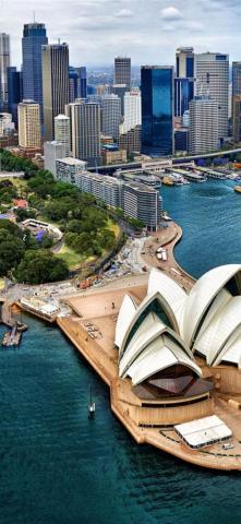 Sydney Harbour Australia Buildings Bird iPhone Wallpaper