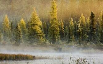 Opeongo Lake En Ontario Wallpaper