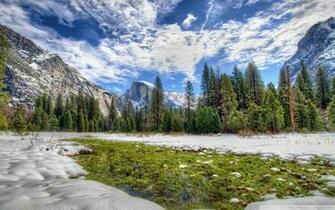 Yosemite Spring Grass UltraHD Wallpaper Printed