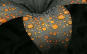 Colorful Raindrops Wallpaper Image Pictures Becuo