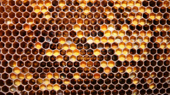 Honeycomb Wallpaper Abstract Hq Picture