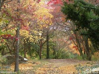 Fall Nature Pictures