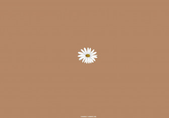 Brown Aesthetic Wallpaper Laptop