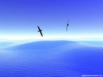 Image Quality Digital Pictures Wallpaper Desktop Background Puzzles
