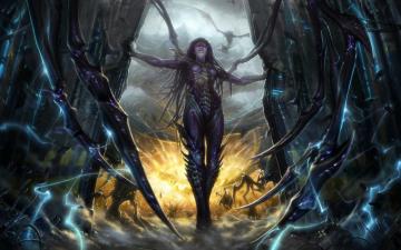 Starcraft Blizzard Entertainment Ii