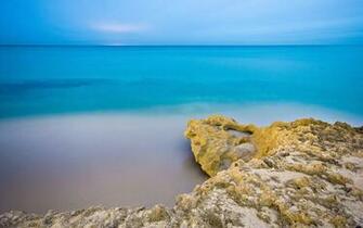 High Definition Wallpaper Premium