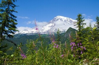 Wallpaper Mount Rainier National Park