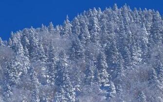 Winter Snow Photos Scenes Wallpaper No