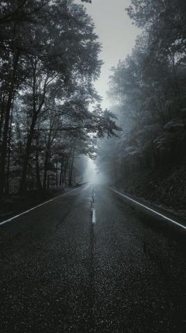 Asphalt Road Portrait Display Vertical Landscape Tree