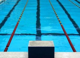 Welcome To Home Of Sports Pictures Olympic Swimming Wallpaper