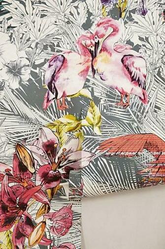 Wallpaper Birds Of Paradise Mural I Anthropologie Bird