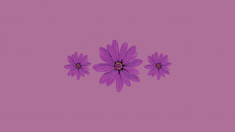 Minimalist Cute Purple Aesthetic Flowers Wallpaper