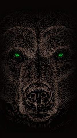 Grizzly Bear iPhone Wallpaper