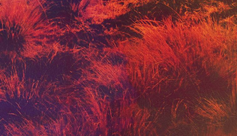 Hillsong United Zion Wallpaper Submitted By Blakemcdivitt