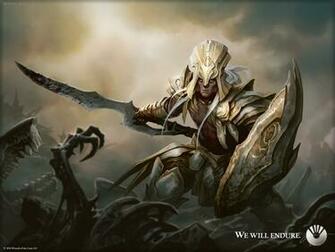 Paladin Wallpaper Submited Image