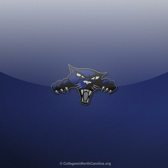 Point Panthers iPad Wallpaper High